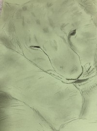 Même un lion en cage se trouve petit