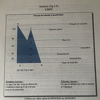 « Derrière chaque détenu, il y a une courbe de survie. Voici la CSNV, l’analyse psychologique qui décrypte l’instant précis où l’esprit choisit de sombrer ou de se métamorphoser. »